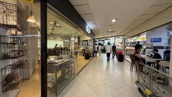 Lucky Plaza (D9), Shop House #628807151